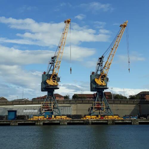 Rich results on Google's SERP when searching for 'Cranes'